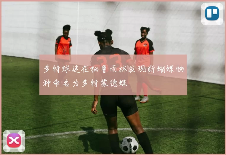 多特球迷在秘鲁雨林发现新蝴蝶物种命名为多特蒙德蝶