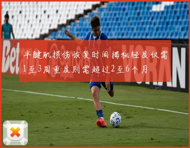半腱肌损伤恢复时间揭秘轻度仅需1至3周重度则需超过2至6个月