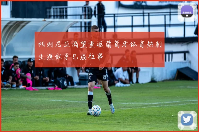 帕利尼亚渴望重返葡萄牙体育热刺生涯似乎已成往事